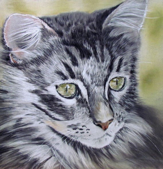 Chat Tigre Angora Gris Et Blanc Portrait Animalier Au Pastel Etsy