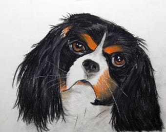 Chien Cavalier King Charles tricolore - portrait animalier au pastel - Art animalier