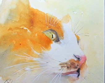 Cat in red and white watercolor - animal painting - animal art