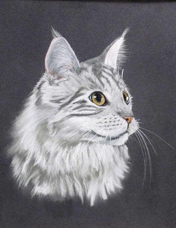 Un Chat Maine Coon Tigré Gris Portrait Animalier Au Pastel Art Animalier