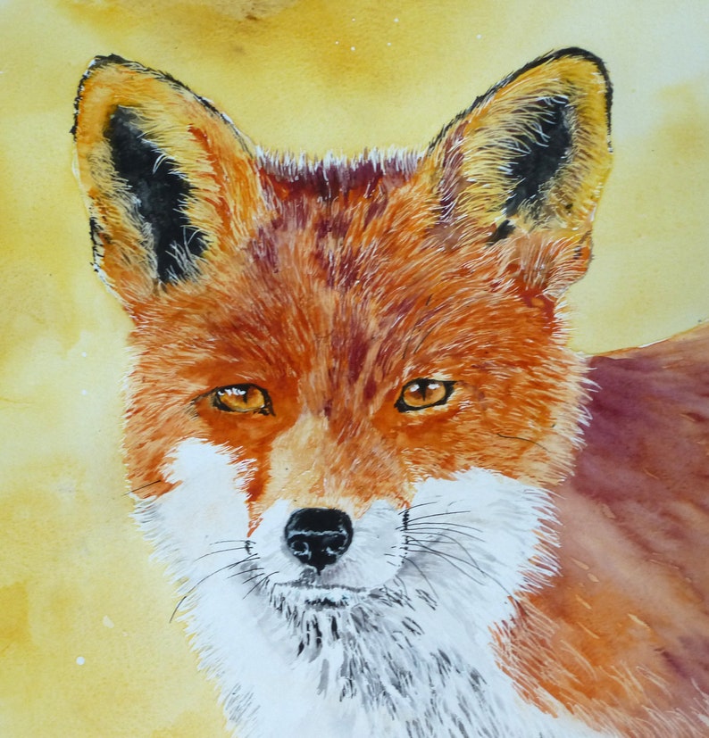 Red Fox