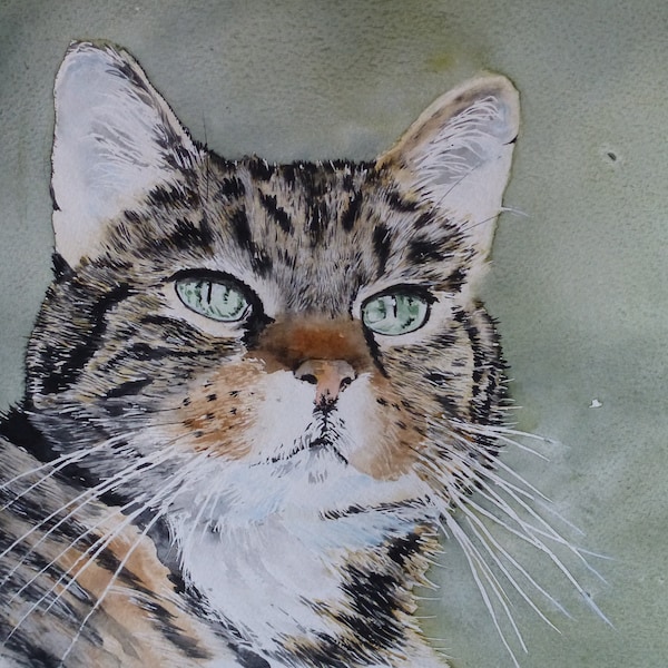 Chat - cat - peinture animalière