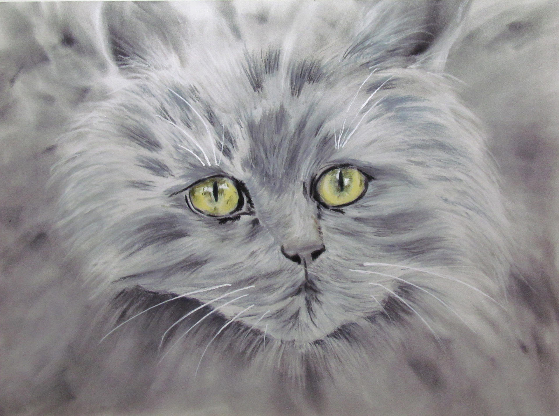 Petit Chat Persan Chinchilla Portrait Animalier Au Pastel Etsy