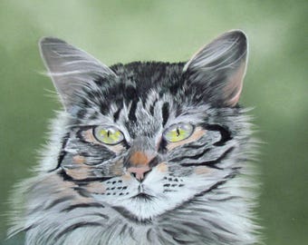 Chat tigré - art animalier