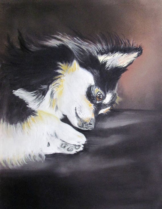 Long Haired Chihuahua Portrait Black And White Dog Animal In Etsy