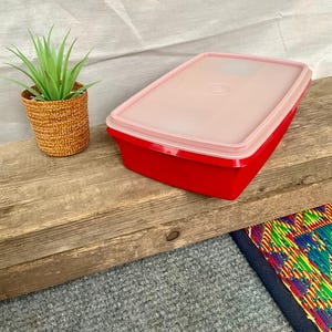 Puede incluir: Un contenedor de almacenamiento de plástico rojo con una tapa rosa. El contenedor es rectangular y tiene una superficie lisa. La tapa tiene un pequeño círculo en el centro.