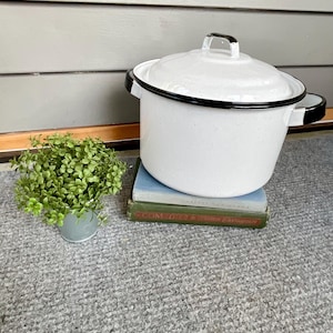May include: White enamelware pot with a black rim and handle, sitting on top of two books. The pot has a lid and is speckled. A small green plant in a light blue pot is to the left of the pot.