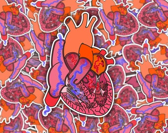 以下が含まれることがあります： 人間の心臓の詳細な解剖学的イラストが描かれたステッカー。心臓は赤、ピンク、オレンジの色合いで描かれ、青い静脈と動脈があります。デザインには内部構造が含まれており、同様の心臓ステッカーの背景に配置されています。