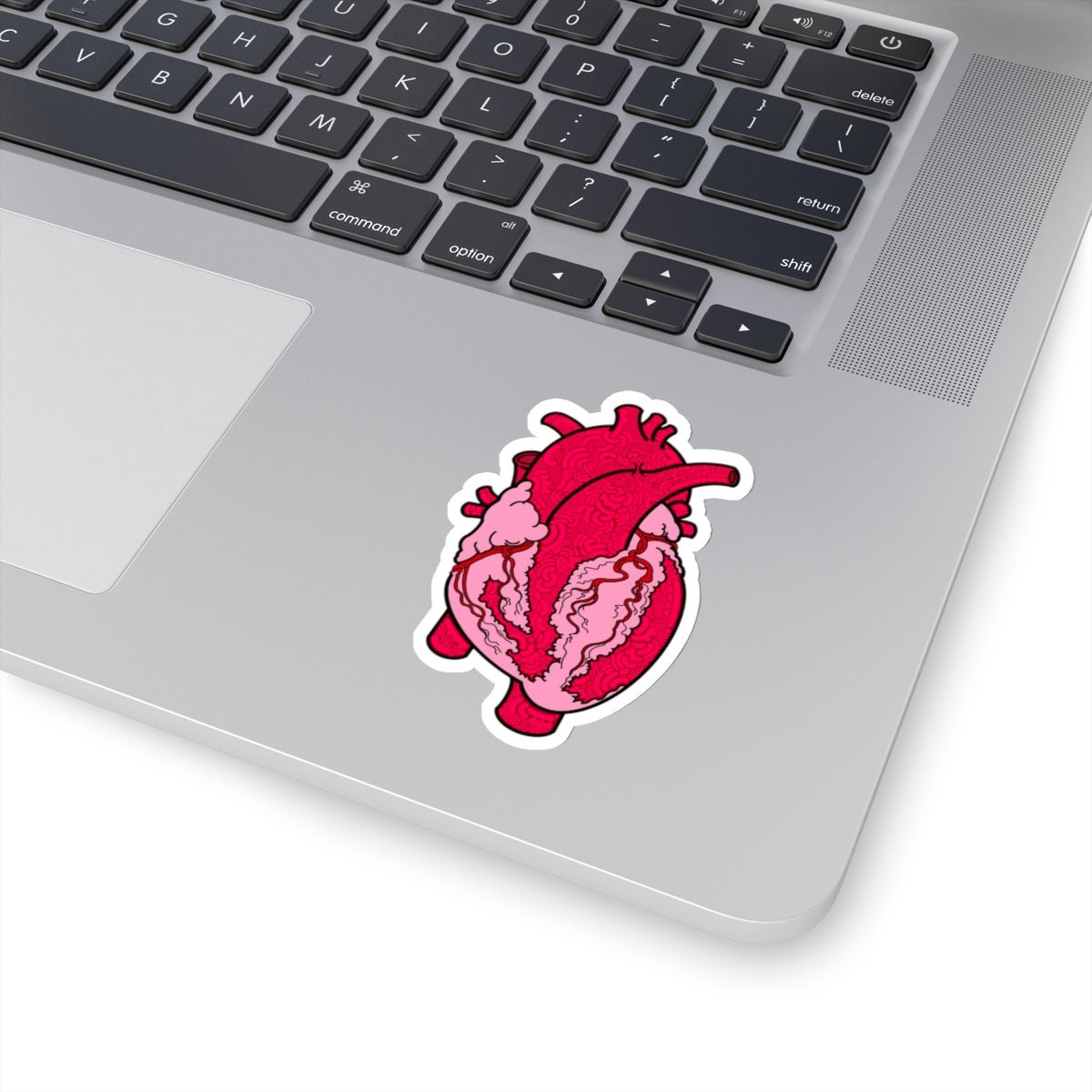 Anatomical Heart Sticker - Medical Art Vinyl Decal - Etsy