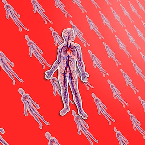 Anatomical Arteries and Veins Sticker - Detailed Human Circulatory System Art