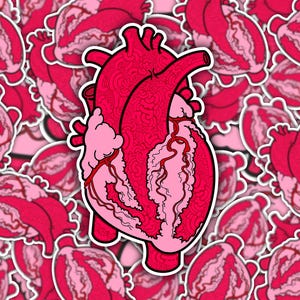 Anatomical Heart Sticker - Perfect for Medical/Nursing Enthusiasts and Art Lovers