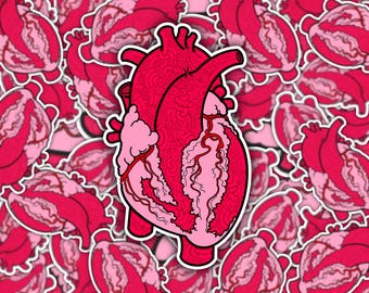 Anatomical Heart Sticker - Medical Art Vinyl Decal