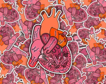 Gedetailleerde anatomische hartsticker - medische kunst met gelabelde ventrikels, slagaders en aders