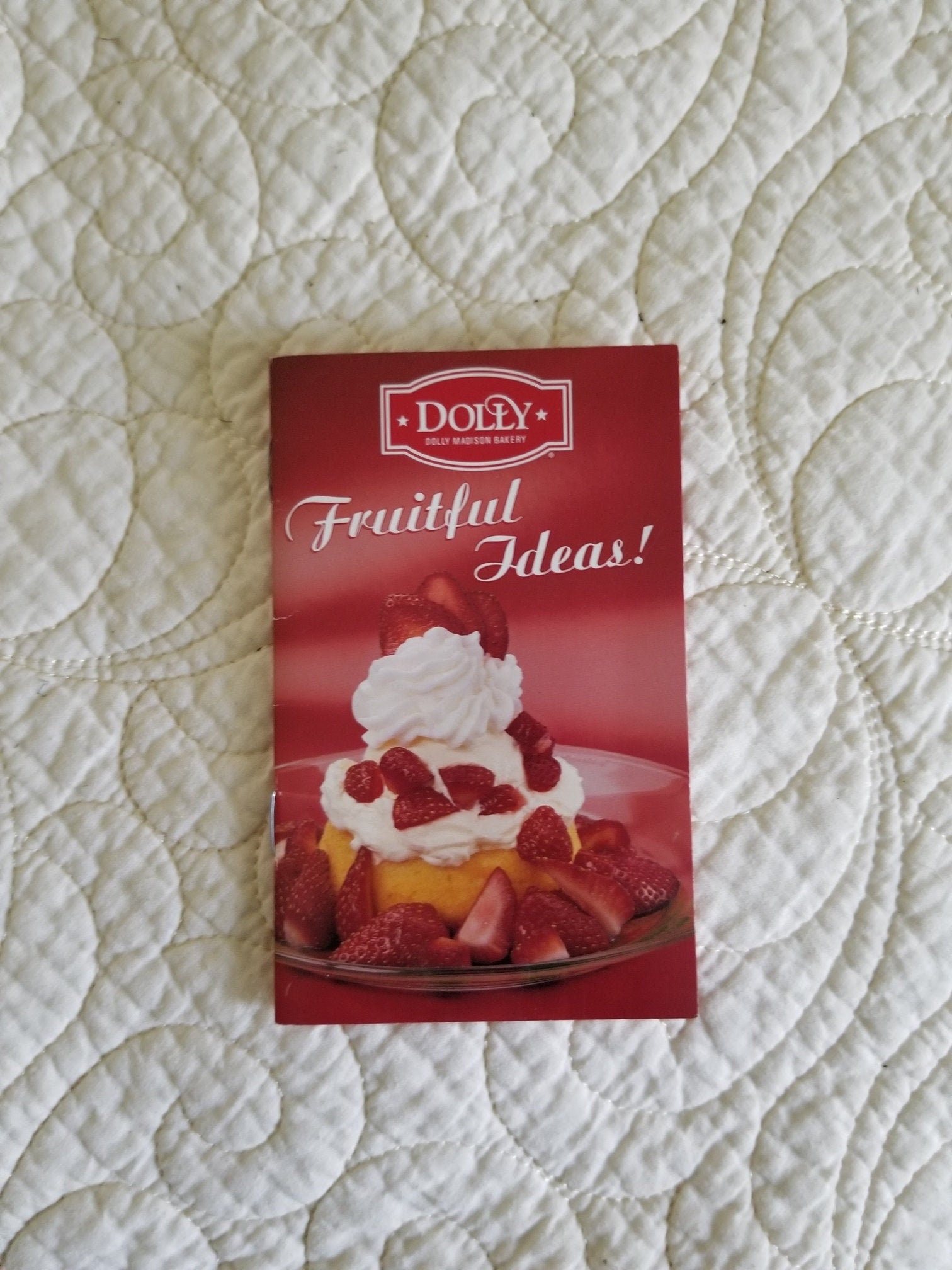 Dolly Madison Bakery fruitful ideas vintage fast and easy Etsy