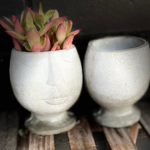 May include: Two white ceramic planters shaped like faces, one with a succulent plant with red and green leaves. The planters are sitting on a wooden surface.