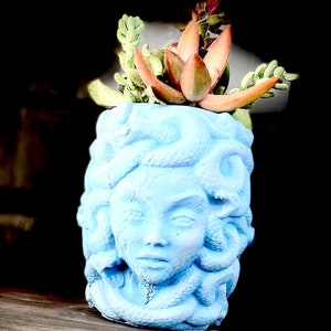 Concrete Medusa Flower Pot: Mythological Snake Lady Planter (4.5 inch tall)