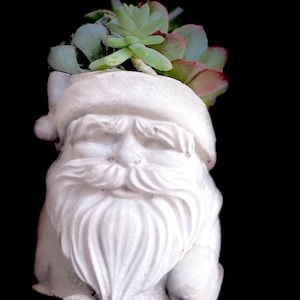 May include: White ceramic Santa Claus planter with a green and red succulent plant growing out of the top of his hat.