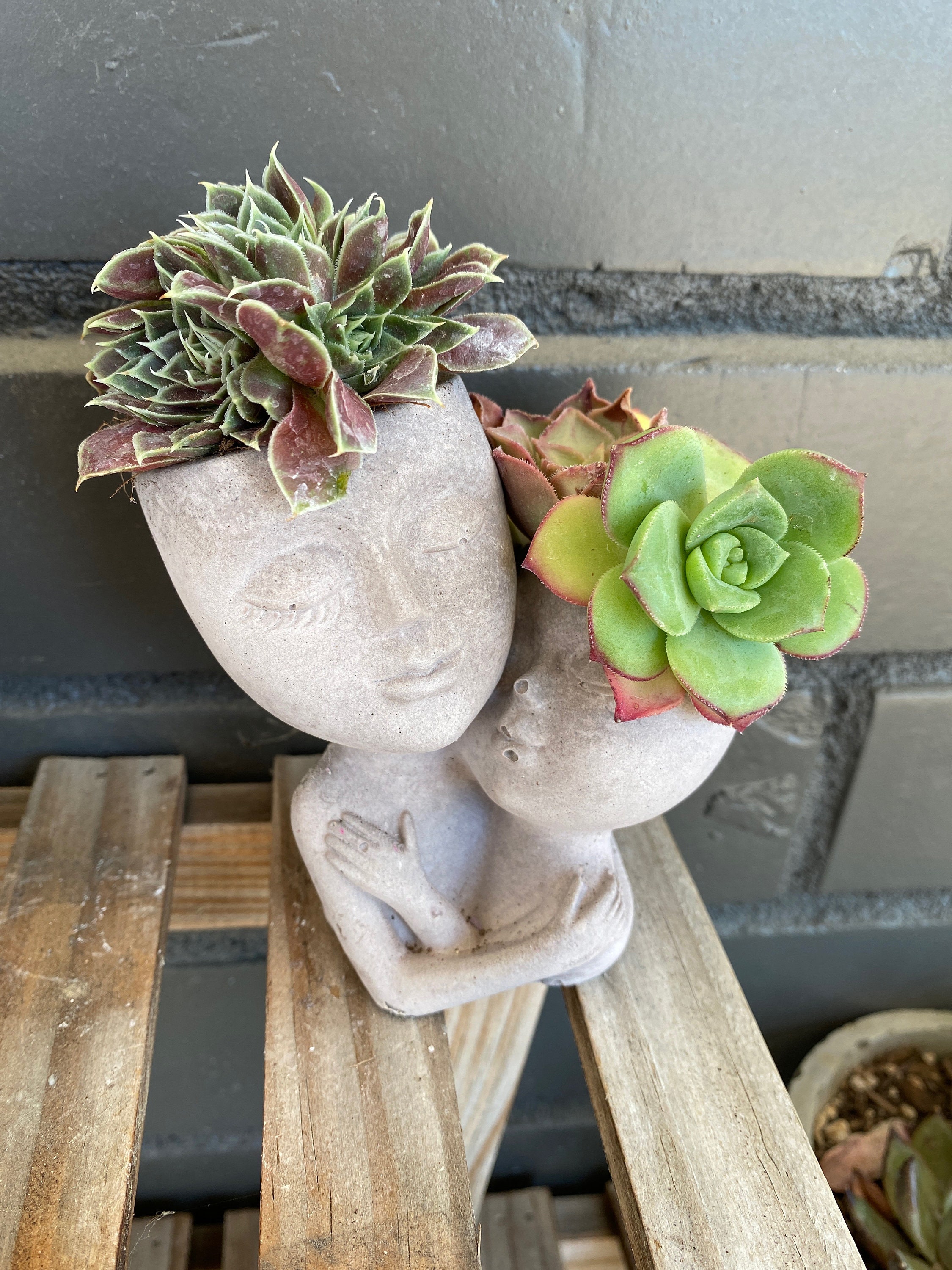 Essence Mini Planters Set of 3 Indoor Small Succulent Planters