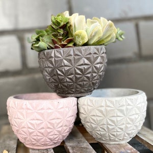 May include: Three concrete planters with a geometric pattern. The planters are in shades of gray, pink, and white. The largest planter is holding a succulent plant.