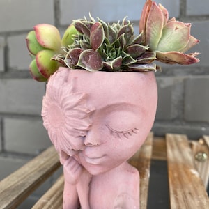 May include: A pink ceramic planter shaped like a face with a closed eye and a flower covering the other eye. The planter is filled with green and brown succulents.