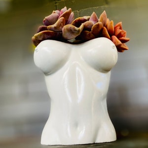 Concrete Boob Planter, 5-Inch Tall, Customizable Colors