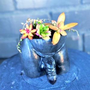 May include: A black and gray ceramic planter shaped like a human torso with a succulent plant growing inside. The succulent has green, pink, and yellow leaves.