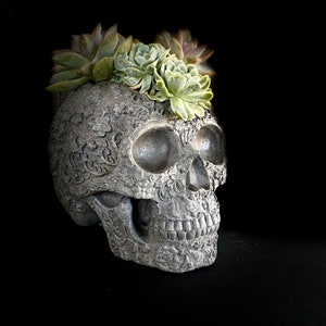 May include: A gray skull planter with a detailed design, decorated with green succulents.