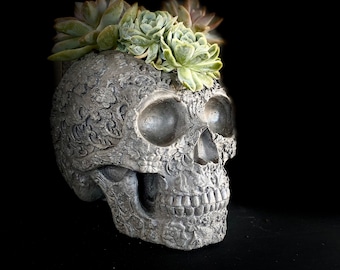 Large Concrete Human Skull Floral Planter, Halloween Bone Pot with drain hole for Flowers, Succulents, Herbs. 6.5”L x 5”W x 5” H, handmade