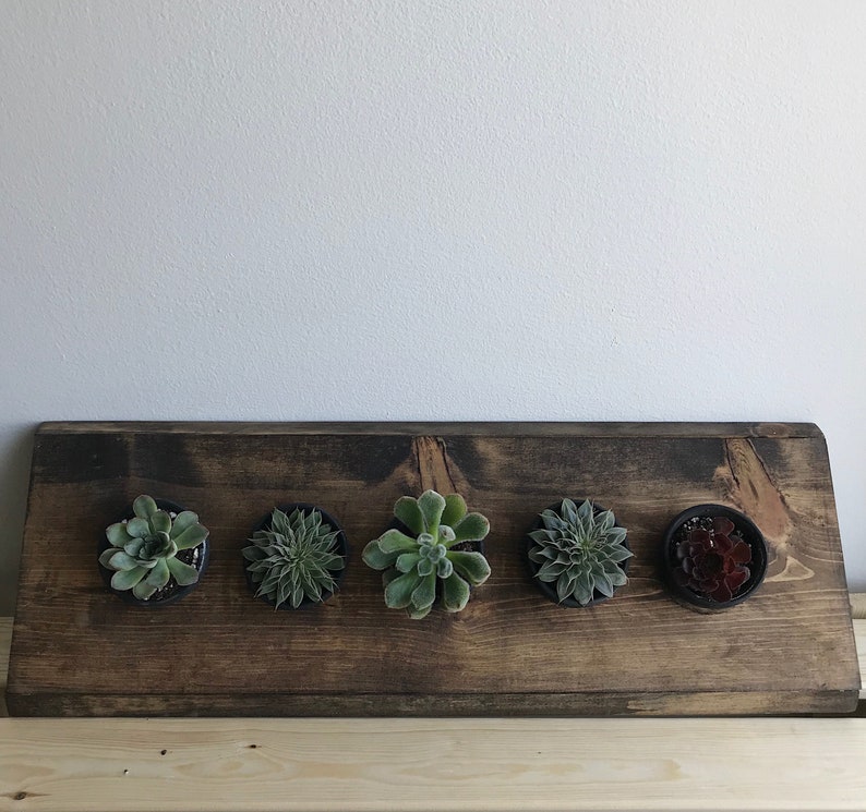5 Pot Corner Plant Holder For Succulents And Other Plants Image 0