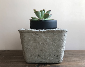 Concrete planter handmade with a lot of character perfect for small succulents or plants cute in any room