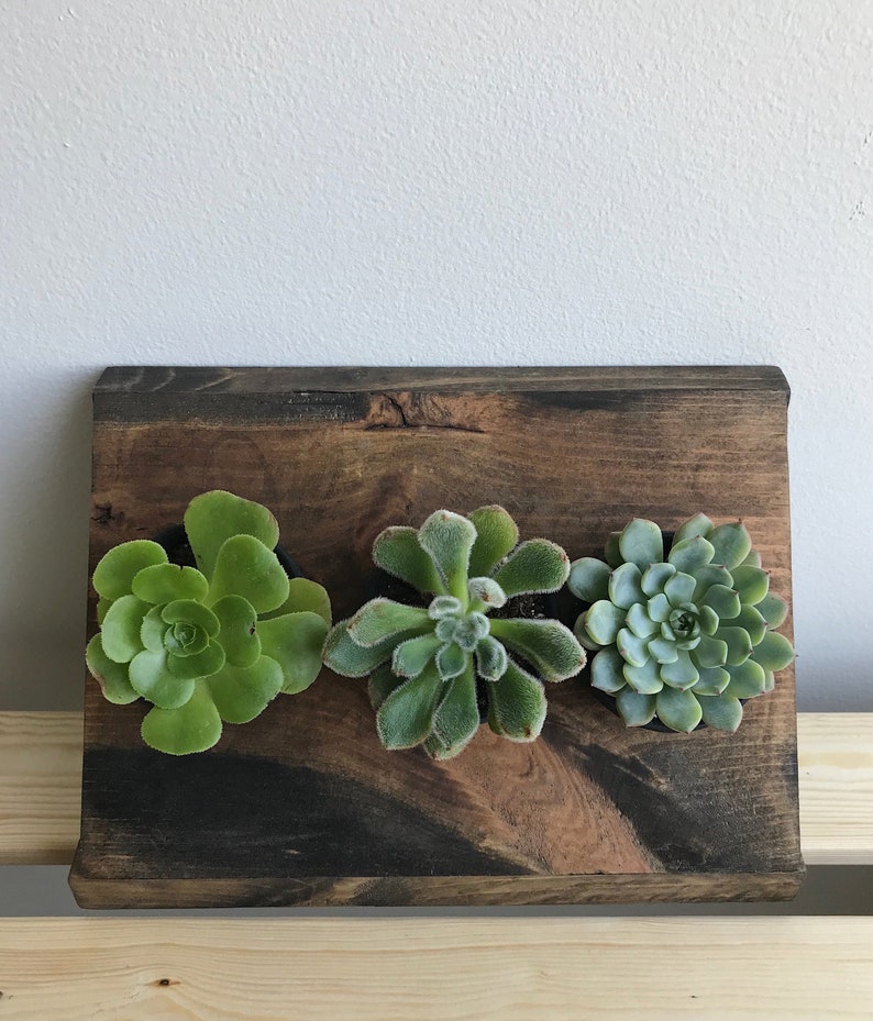 3 Pot Corner Plant Holder For Succulents And Other Plants Image 0