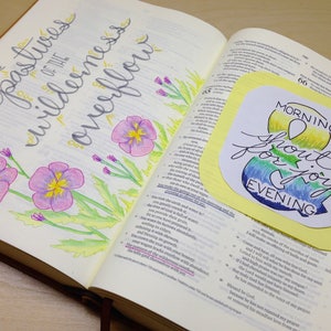May include: Open Bible with handwritten text and floral illustrations. The words "The pastures of the wilderness overflow" are written in cursive. A yellow sticker with the words "Morning shout for joy Evening" is attached.
