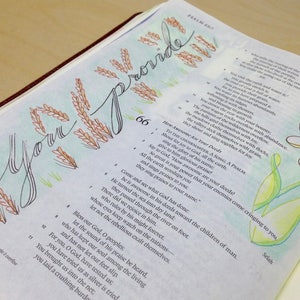 May include: Open book with handwritten text and illustrations. The words "Your Provide" are written in cursive with decorative wheat and floral accents. The page numbers 66 and 67 are visible.