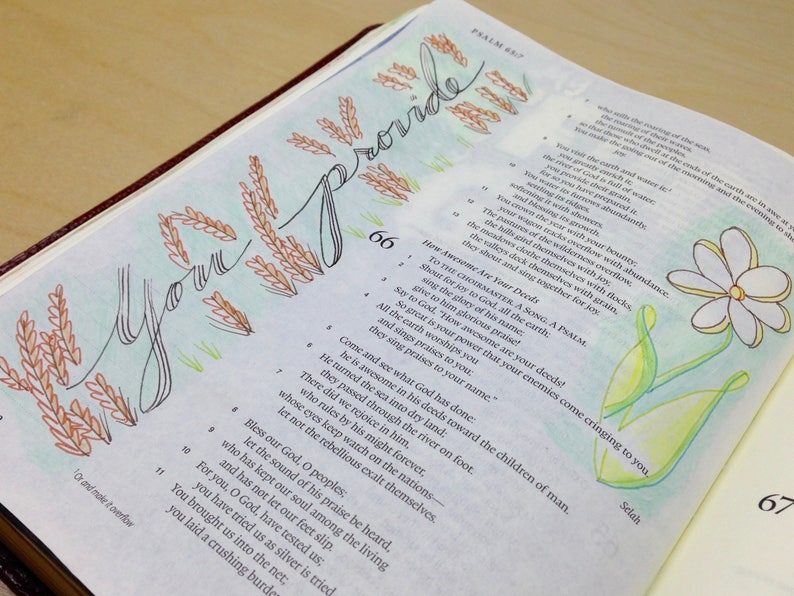 May include: Open book with handwritten text and illustrations. The words "Your Provide" are written in cursive with decorative wheat and floral accents. The page numbers 66 and 67 are visible.