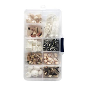 May include: A clear plastic storage container with ten rectangular compartments filled with various natural seashells. The collection includes white, tan, brown, and black-and-white striped shells in assorted shapes, sizes, and textures for crafting.