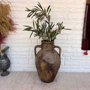 May include: A large, weathered brown clay amphora with two side handles, featuring a textured, aged surface. The vessel contains a leafy green olive branch. The clay pot has a rounded body and a narrow neck, displaying natural variations in color.