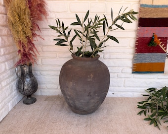 May include: A large, dark brown, weathered clay vessel with a rounded body and a wide, open neck. The vessel contains several green olive branches with slender leaves. The surface of the clay appears matte, textured, and aged with subtle variations in colour.