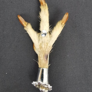 Victorian Chicken Foot Brooch: Macabre Mizpah Jewelry (1880/1900)