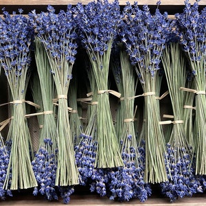 Lavender Bundles