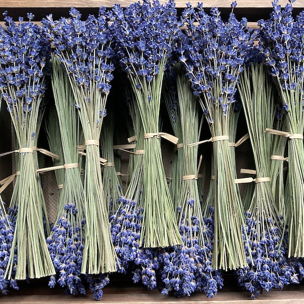 Lavender Arrangement Etsy lavender-arrangement-etsy