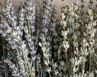 White Lavender Bundles