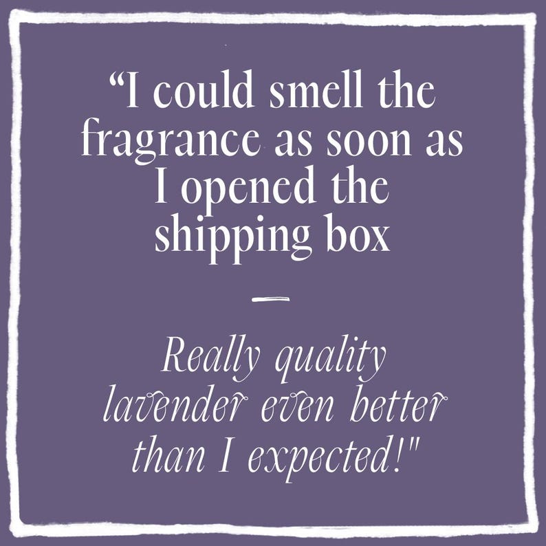 May include: A square purple graphic with a white hand-drawn border containing the white text: "I could smell the fragrance as soon as I opened the shipping box - Really quality lavender even better than I expected!" in a serif font.