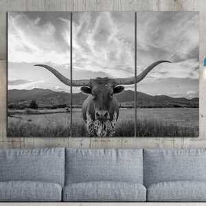 May include: A black and white photograph of a longhorn steer with large horns standing in a field. The steer is looking directly at the camera. The background is a field with mountains in the distance.