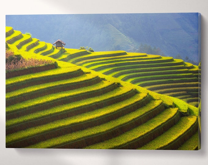 Rice Terrace of Vietnam Landscape Canvas Eco Leather Print, Made in Italy!