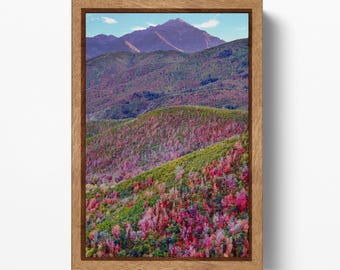 Mount Timpanogos Utah Alpine Loop PETA Approved Eco Leather Framed Landscape Wall Art
