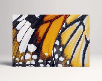 Danaus Chrysippus Butterfly Wing PETA Approved Eco Leather Canvas Triptych or Single Art