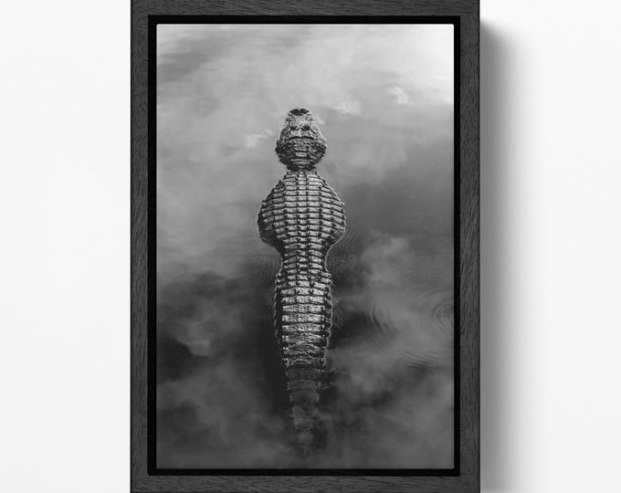 Alligator in the water black and white wall art framed canvas eco leather print, Made in Italy!
