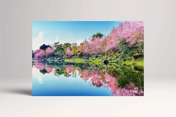 Cherry Blossom Lake Reflection Japan PETA Approved Eco Leather