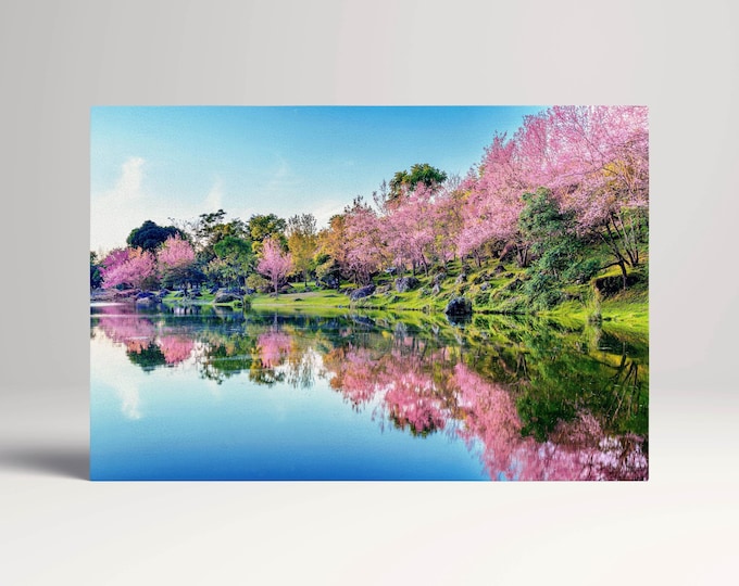 Japan Cherry Tree Blossom Lake Reflection Wall Art Canvas Eco Leather Print, Made in Italy!