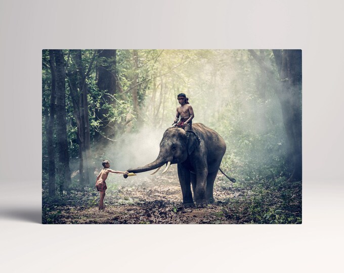 Wild Elephant in Cambodia canvas eco leather print, Made in Italy!